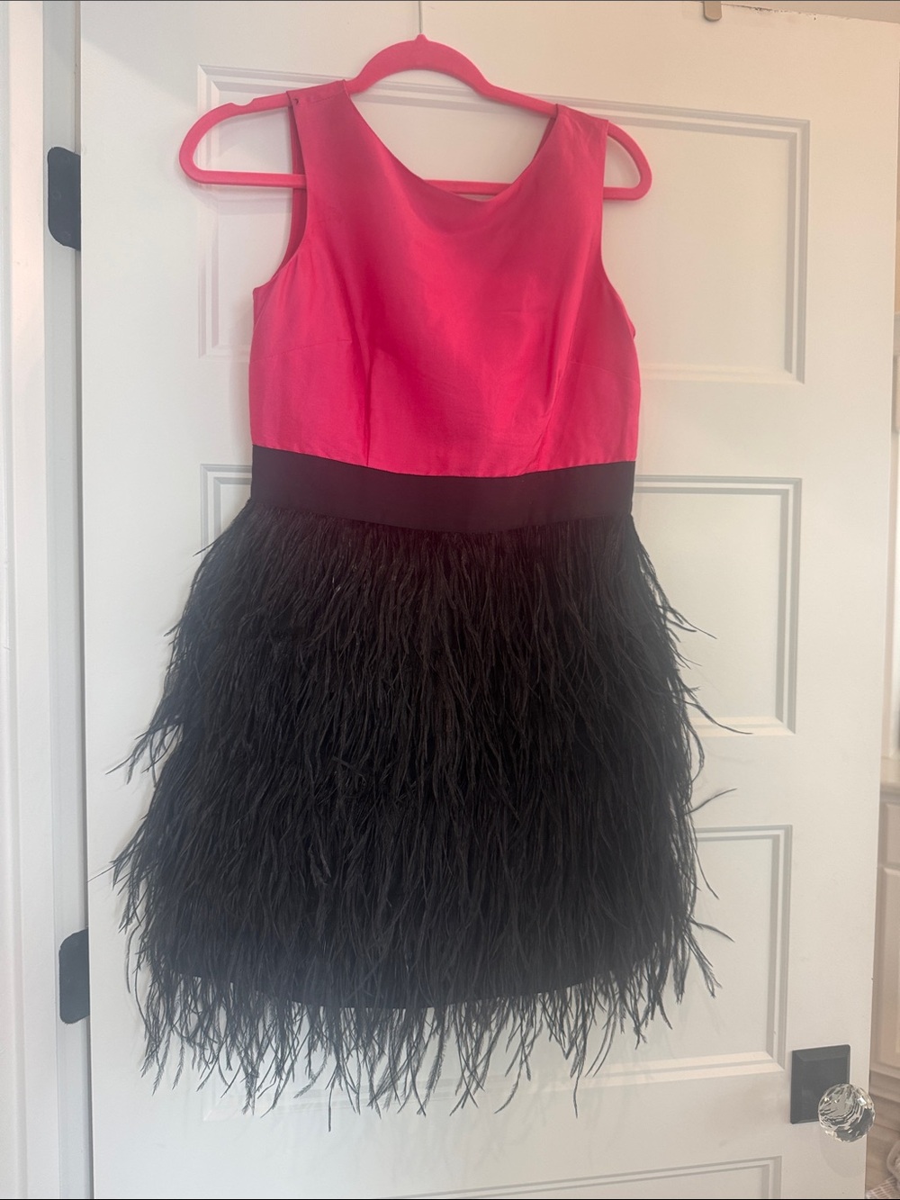 Sail to Sable Pink and Black Feathered Mini Dress